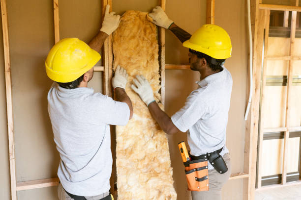 Best Cellulose Insulation  in Grover, WY