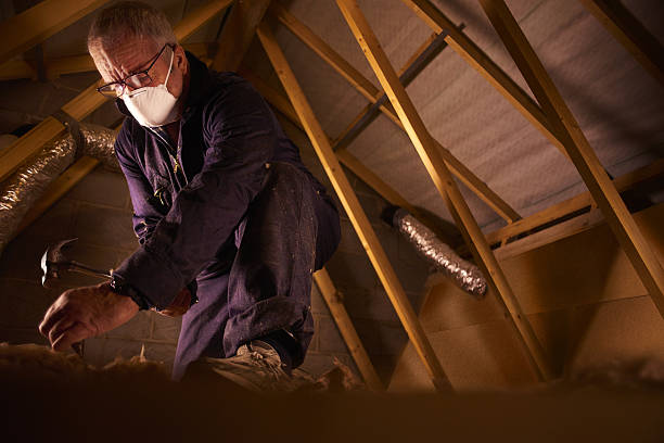 Best Insulation Removal  in Grover, WY